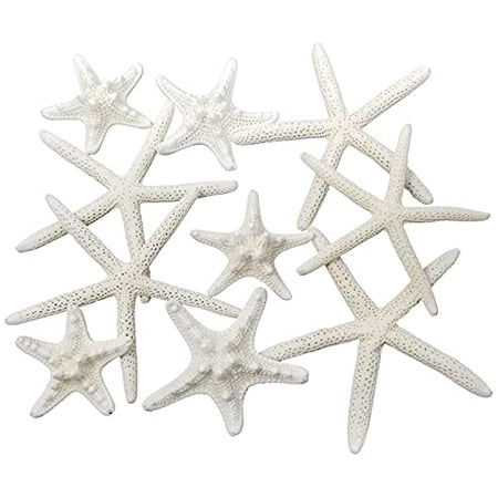 Pencil And By Starfish 2 To 6 Set Of 10 Wedding Centerpiece Beach Home Decor Crafts Decorative Hanging Ornaments Tumbler Canada - Starfish Home Decor Pencil And By Starfish 2 To 6 Set Of 10 Wedding Centerpiece Beach Home Decor Crafts Decorative Hanging Ornaments Tumbler Canada - Starfish Home Decor