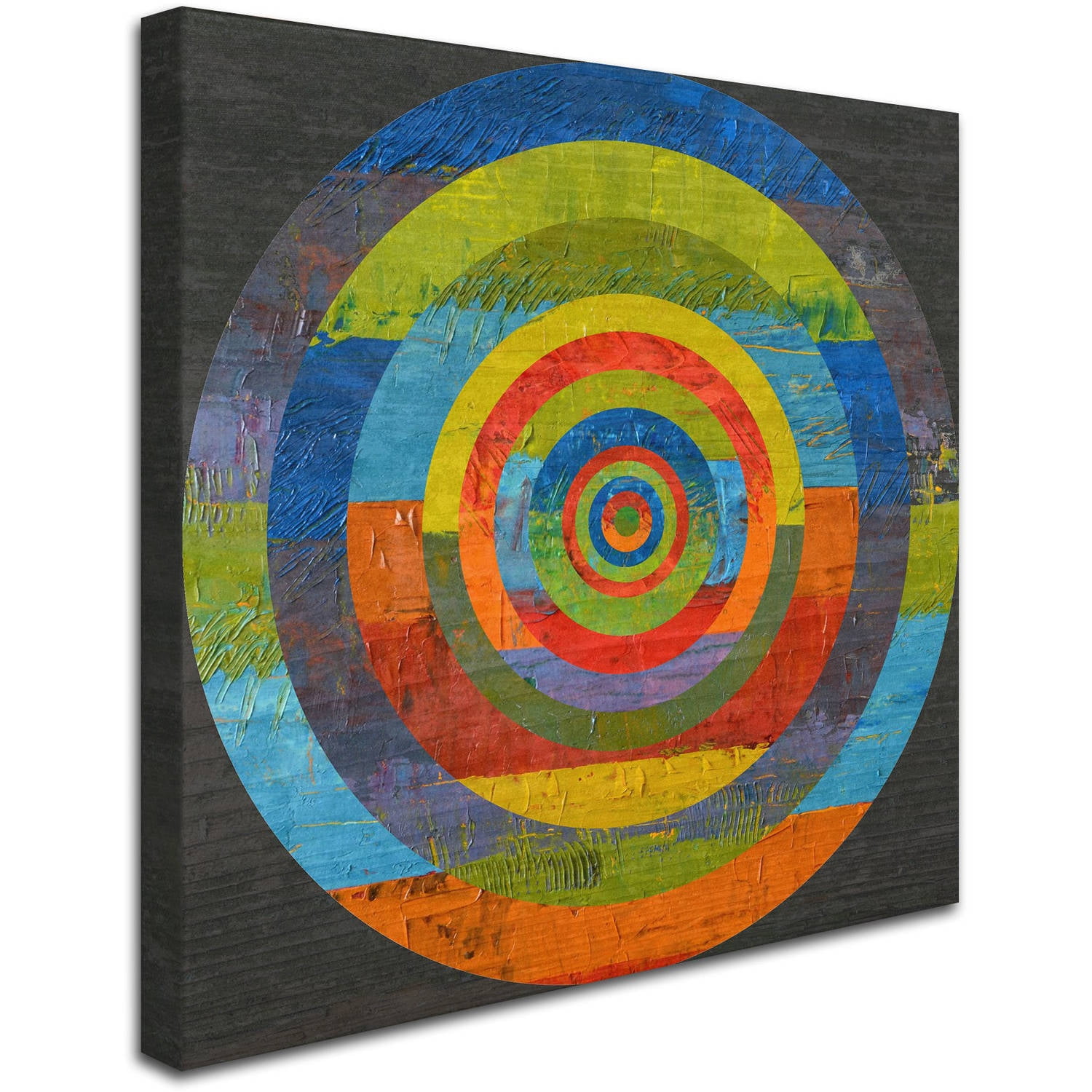 Trademark Fine Art "Full Circle" Canvas Art by Michelle Calkins