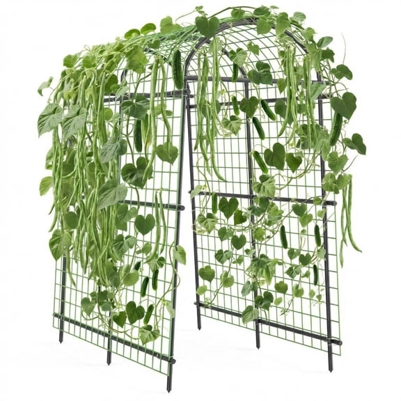 TEQIN Garden Arch Trellis For Climbing Plants Outdoor, Tall Metal Large Archway Arbor Trellis Grape Trelli Metal Vine Plants Support For Garden Raised Bed