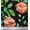 Dark Peach Orange, variant on Soimoi Cotton Duck Fabric Flower & Leaves Watercolor Print Fabric by the Yard 42 Inch Wide