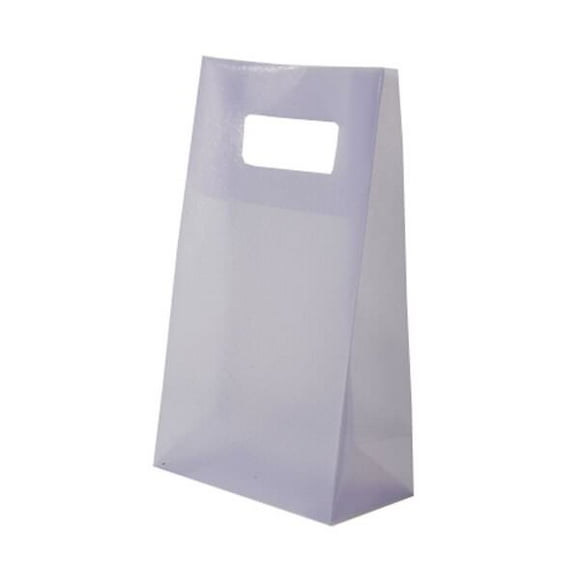 Disposable Lunch Bag