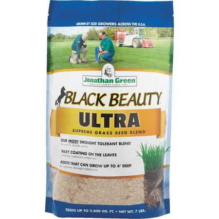 Jonathan Green Black Beauty Ultra Grass Seed (Best Grass Seed For Golf Greens)