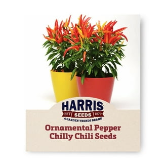 Harris Seeds Ornamental Pepper Sangria F1 Plant Seeds, Purple and Red -  Walmart.com