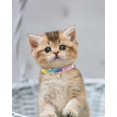 thumbnail image 2 of Mumup 1Pack Suede Breakaway Cat Collar with Sparkling Rhinestones & Bell - Soft Adjustable Safe Release Kitten CollaCats, 2 of 7