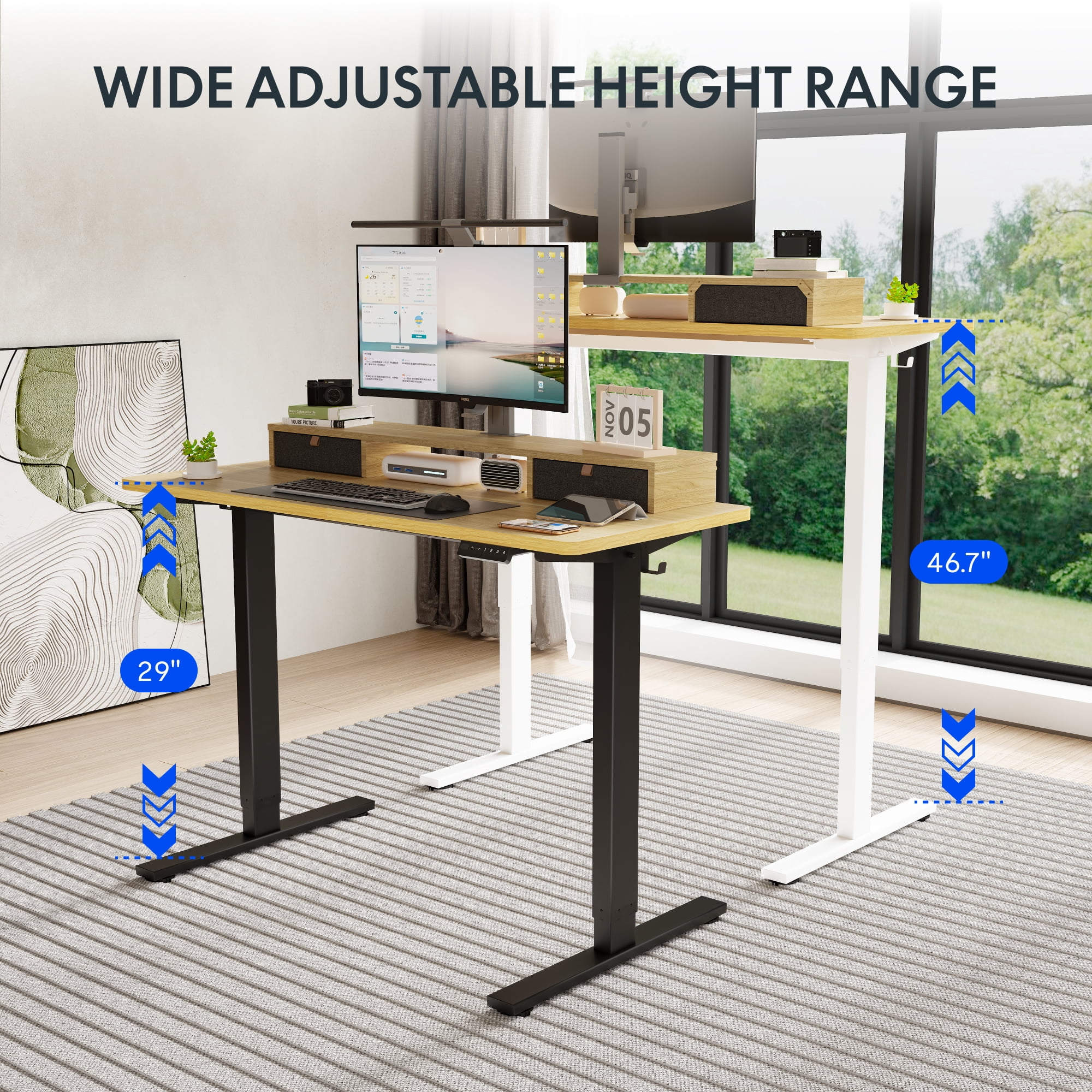 FlexiSpot 55"x24" Electric Standing Desk with One-Piece Desktop, 2 Removable Drawers, Headphone Hook, 4 Height Memory Presets, 250lbs Capacity Ergonomic Sit Stand Desk with Monitor Stand