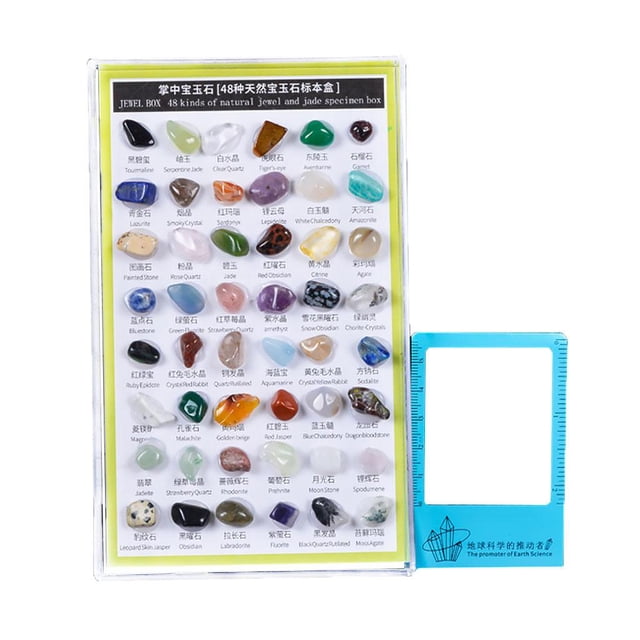 TISHITA gamchiano 48 Pcs Collection de Roche et de Minéraux Science STIM pour Fête Débutant Vert