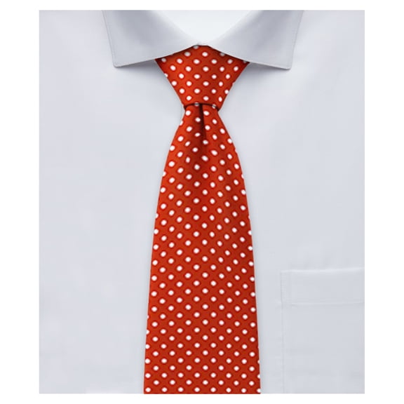 Jacob Alexander Boys' 14 inch Polka Dot Print Pre-Tied Zipper Neck Tie - Rust
