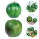 thumbnail image 4 of KAKOWELY 2 piezas de cocos simulados, modelo de cocos falsos, fruta tropical de plástico, accesorio para fotos., 4 of 5