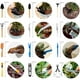 thumbnail image 4 of Juego de herramientas de jardinería en miniatura - 12 herramientas manuales de acero inoxidable con mango de madera | Rastrillo, paleta y pala para bonsáis, suculentas y hierbas | Incluye, 4 of 5