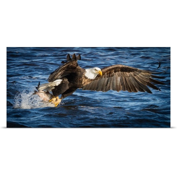 Great BIG Canvas Mike Trahan Poster Print entitled Got It