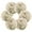 Dragonflies with White Daisies, variant on 6 Pcs Drink Coasters with Holder 3.94in Woven Coasters for Drinks Dragonflies with White Daisies Coaster Set for Protection Table