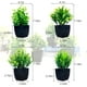 thumbnail image 2 of Pequeñas plantas artificiales en maceta negra, eucalipto artificial en maceta, miniplantas de césped artificial en maceta, vegetación para decoración del hogar, interior, oficina, mesa, habitación,, 2 of 6