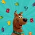thumbnail image 2 of Pack of 2 - Scooby Doo Gluten Free Fruit Flavored Snacks Value Pack 22 ct / 0.8 oz, 2 of 5