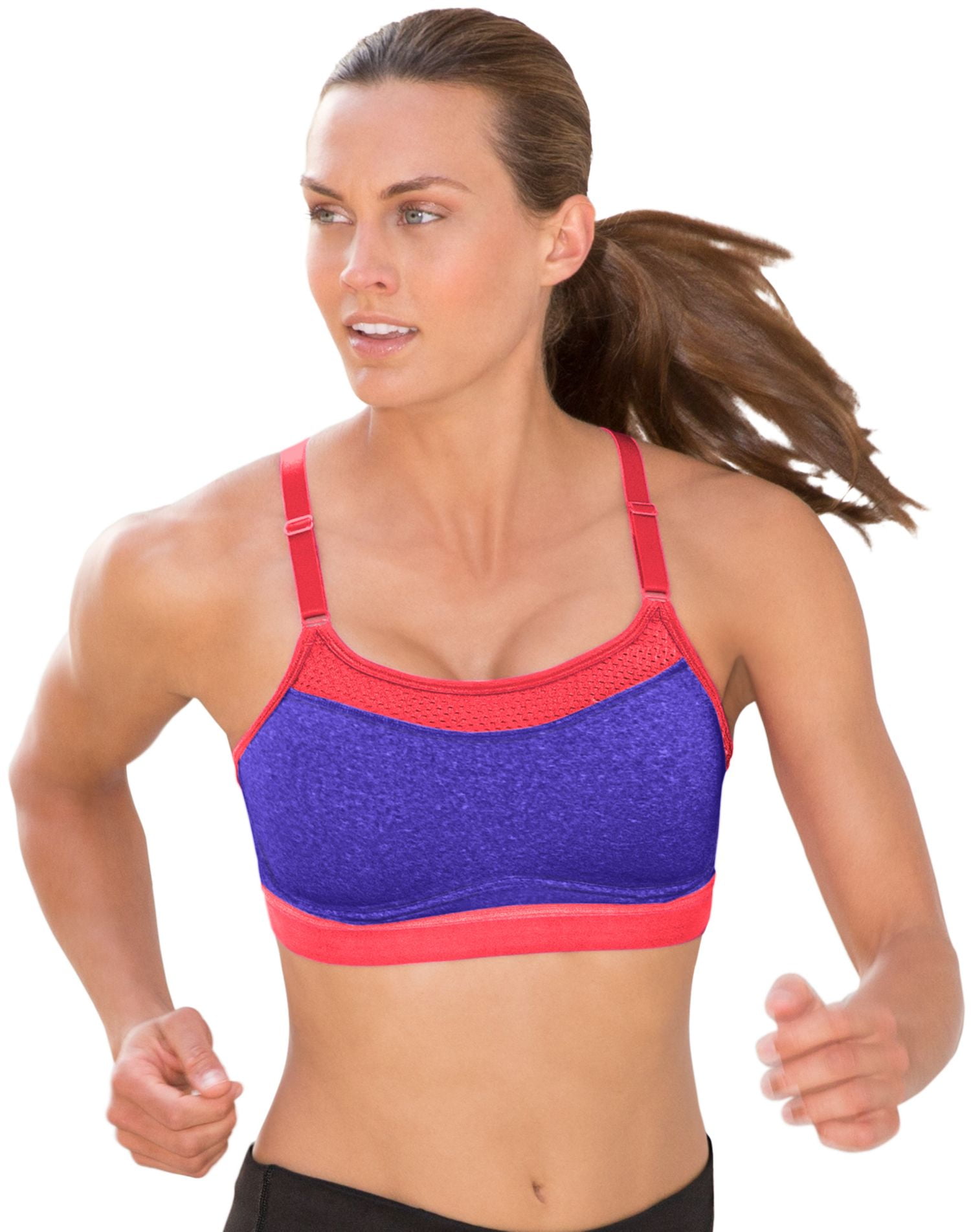 champion activewear canada