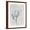 Brown Frame, variant on Art.com Emerald Oleander Bush Photo by Albert Koetsier, White Frame Wall Art, 17" x 21"