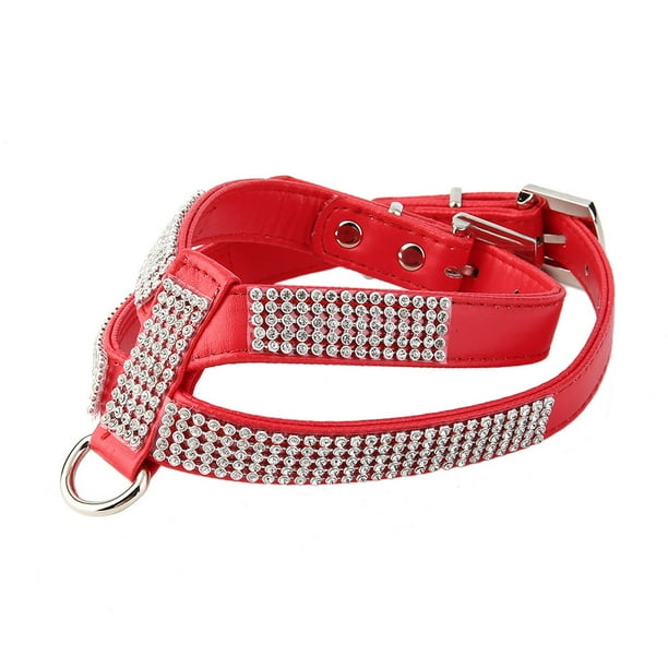 Dog collar 2024 luxury brands