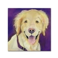 thumbnail image 2 of Trademark Fine Art "Alex" Canvas Art by Pat Saunders-White, 2 of 4