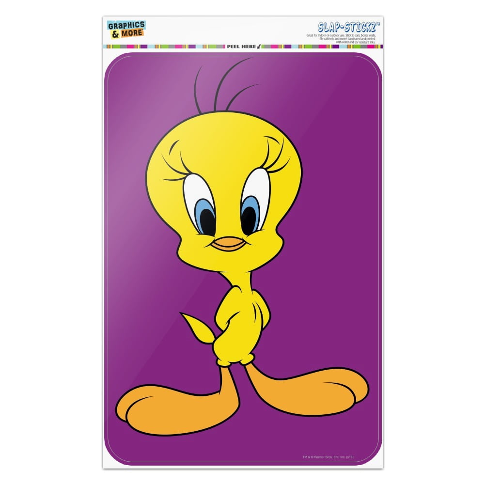 TWEETY BIRD Engraved Pint Glass Great Gift Idea! Inspired by Looney-Tunes Collect Them All 