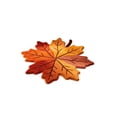 thumbnail image 2 of Yhmxh Thanksgiving Pumpkin Bathroom Rugs Fall Maple Leaf Shape Bath Mat Autumn Kitchen Mat Non Slip Doormat Cute Orange Floor Mat Decorative for Front Door Entryway Kitchen Bedroom 27.56"x17.72", 2 of 6
