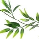 thumbnail image 5 of KAKOWELY Guirnalda de luces LED de 20 luces LED con hojas de salix artificiales para decoración, 5 of 5