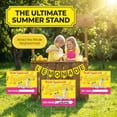 thumbnail image 3 of Limonade Stand Supplies LIRAVENO Summer, 3 unidades con estacas, 3 of 6
