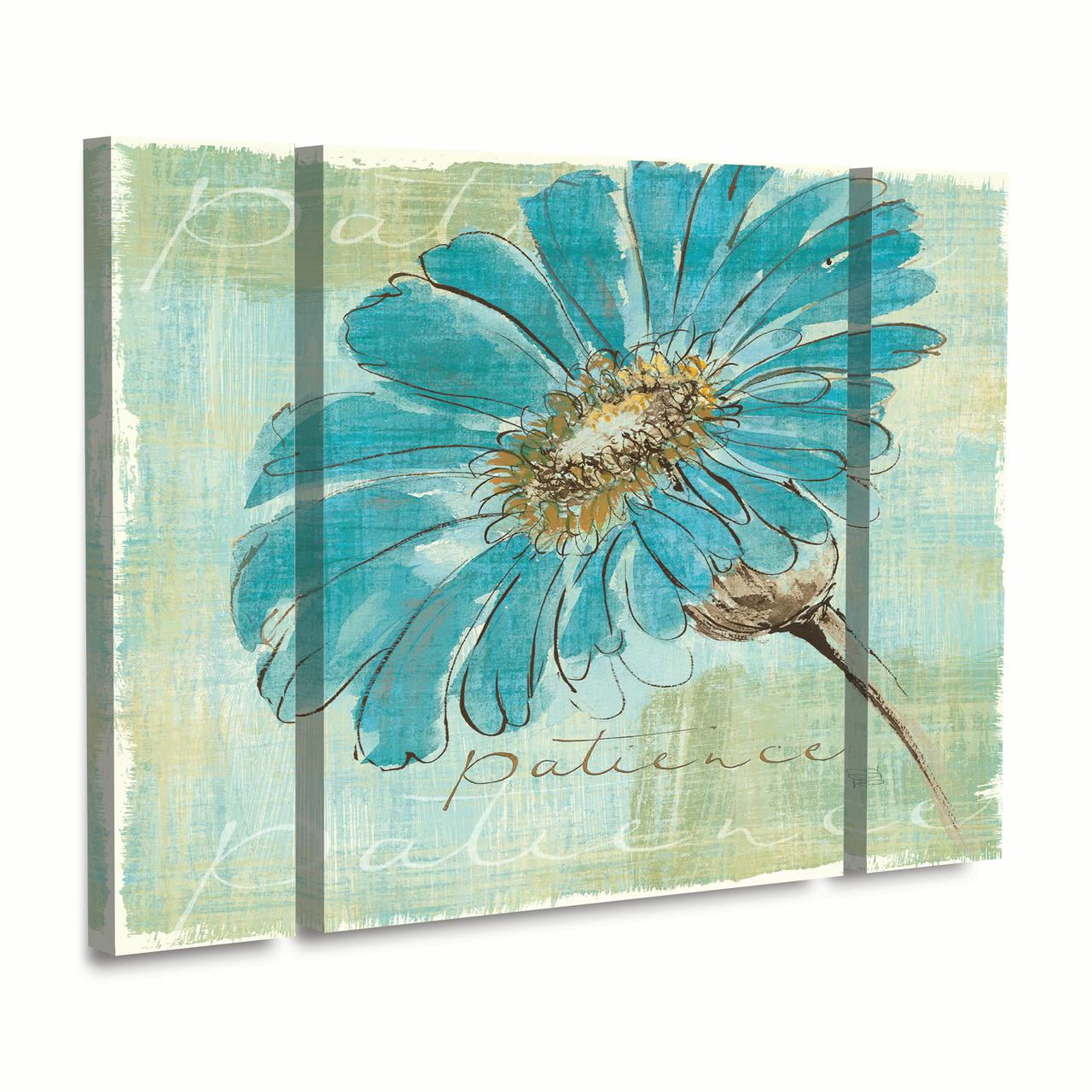 Trademark Fine Art 'Spa Daisies II' Canvas Art by Chris Paschke