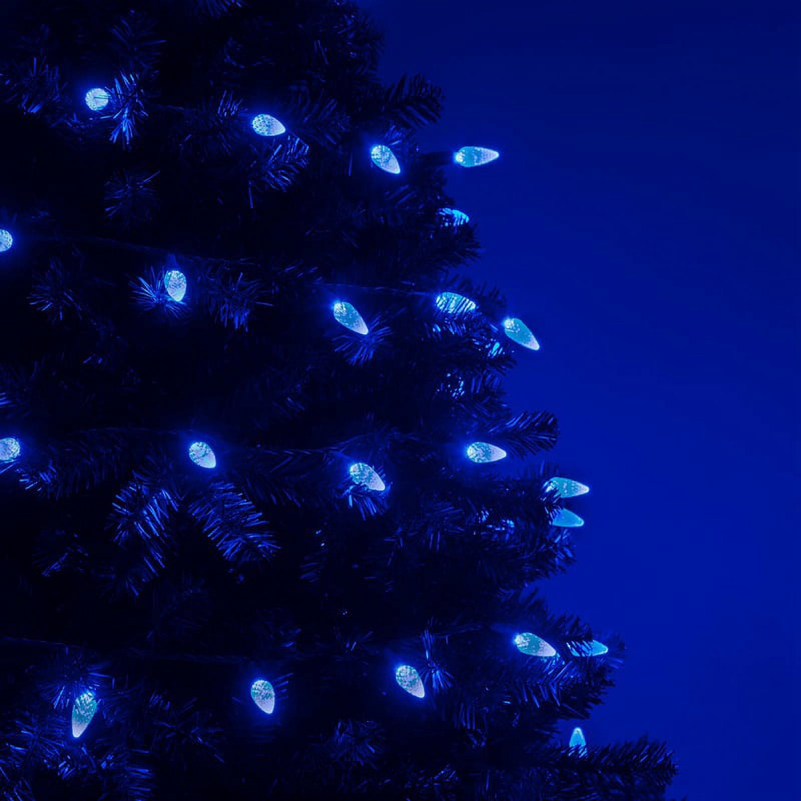 Wintergreen Lighting C6 Blue Christmas Lights LED String Lights, Set of 70 Lights on Green Wire, 24 Ft - Indoor/Outdoor Lighting