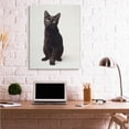 thumbnail image 2 of Stupell Industries Cute Black Cat Expressive Eyes Pet Portrait,36 x 48,Designed by Marika Moffit, 2 of 6