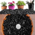 thumbnail image 5 of Bexikou 300G Horticultural Activated Charcoal for Plants, Enhances Drainage & Improves Soil, Perfect for Succulents, Orchids, Cacti, Indoor & Outdoor Gardening, 5 of 7