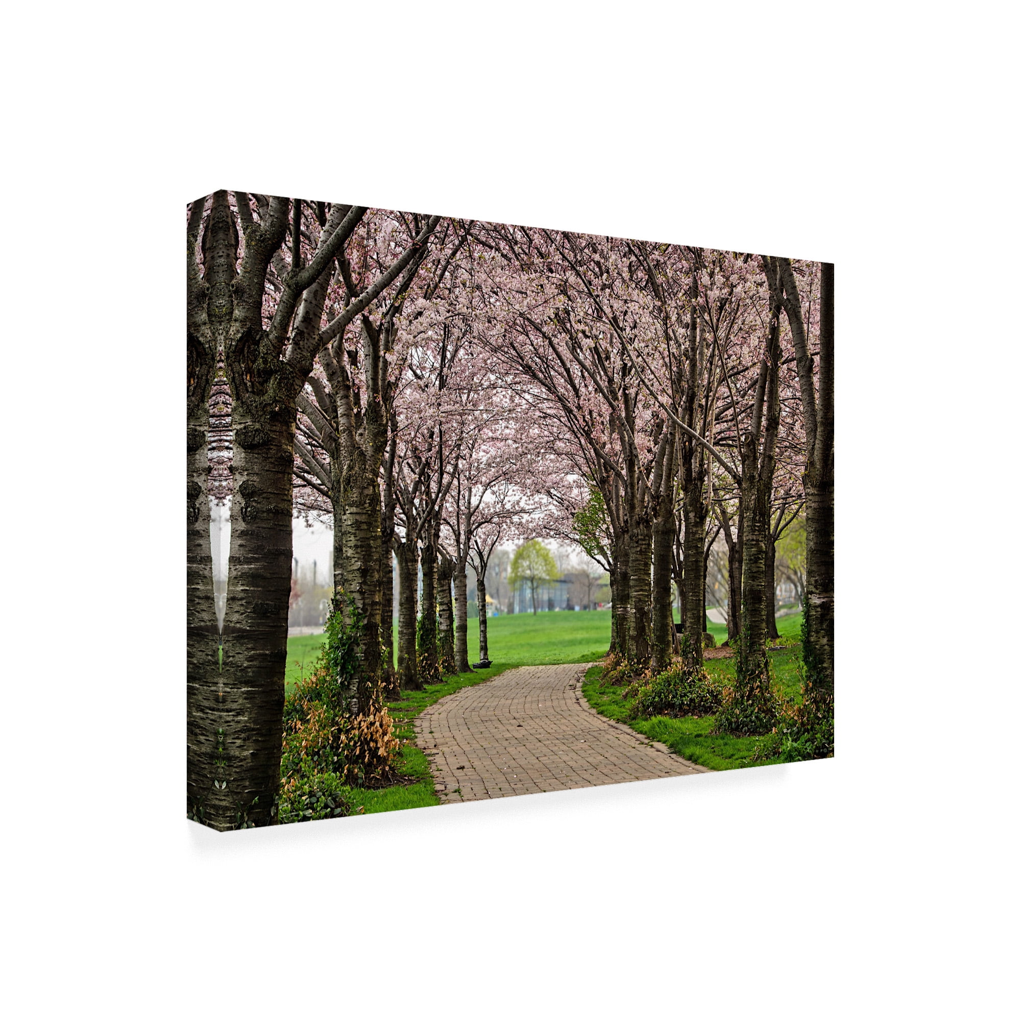 Trademark Fine Art 'Cherry Blossom Winding Path' Canvas Art by Chuck Burdic