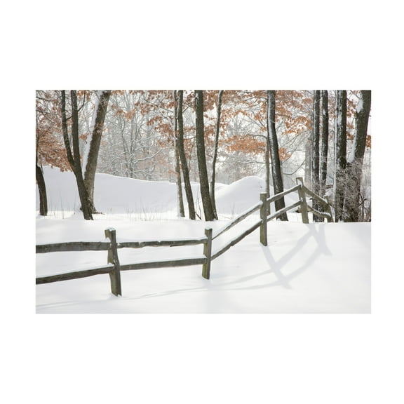 Trademark Fine Art Monte Nagler Winter Fence And Shadow Farmington Hills Michigan Canvas Wall Art - 12x19