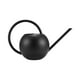 thumbnail image 4 of Regadera Esférica Portátil Regadera De Acero Inoxidable Regadera De Diseño Ergonómico Regadera Para Plantas Domésticas Regadera Con Pico Largo Para Plantas De Flores Interiores Y Exteriores Eigraketly HA027757-00, 4 of 7
