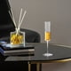 thumbnail image 5 of Copas de champán de plástico - Copas de vino espumoso acrílico transparente de 9,65" para cócteles, vajilla de bar irrompible, 5 of 6