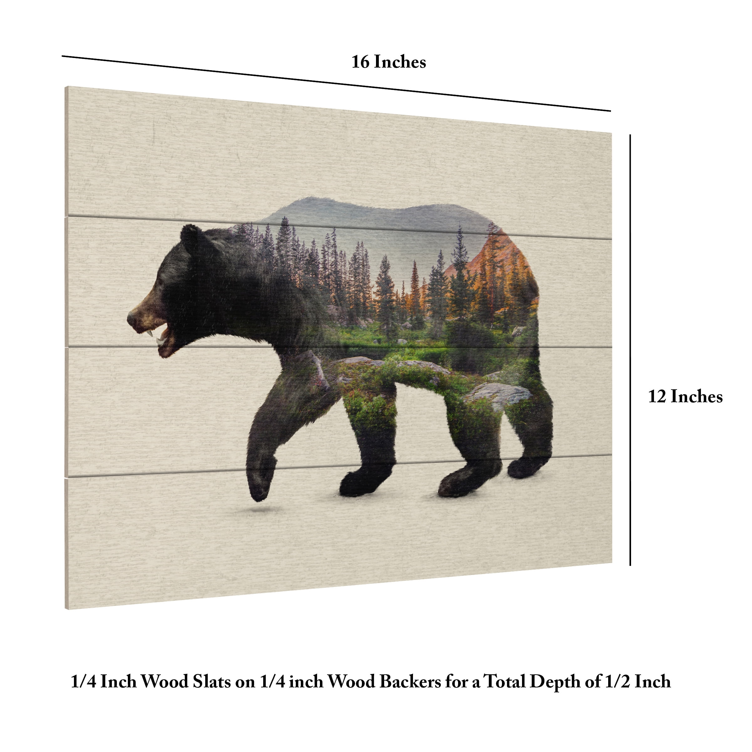 Davies Babies 'The North American Black Bear' Wood Slat Art 12x16