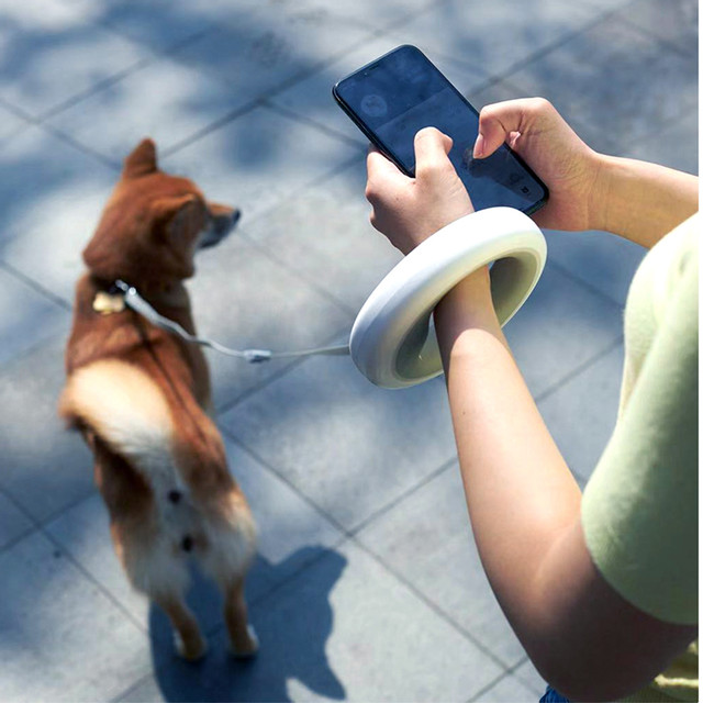 smart space leash