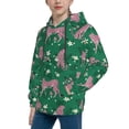 thumbnail image 2 of Rateoe Tropical Leopard Pattern Boys Hoodie, Youth Pullover Hooded Sweatshirt, Kangaroo Pocket Hoodie for Kids-Medium, 2 of 6