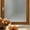 Begonia, variant on PETGLE Window Privacy Film, Removable Static Cling, Stained Glass Decorative Window Film, Vinyl Covering for Home Kitchen Living Room, Ocean Current, 17.3" x 78.7"