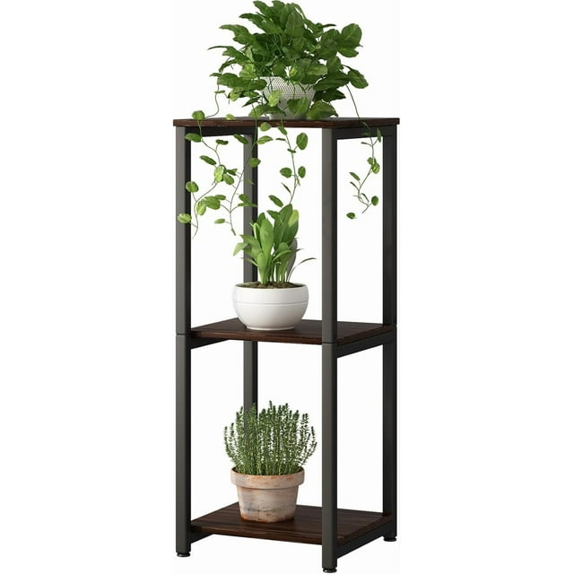Support pour Plantes d'Intérieur, Coin, Haut, en Métal, Moderne, Étagère de Rangement pour Fleurs, Support pour Plantes pour Salon, Balcon, Jardin (Rond)