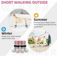 thumbnail image 5 of PUPTECK Anti Slip Dog Socks 2 Pairs with Double Grippers for Hardwood Floors, Shoes for Hot/Cold Pavement, Boots & Paws Protectors to Prevent Licking, Traction Booties for Senior Small Large Dogs, 5 of 10