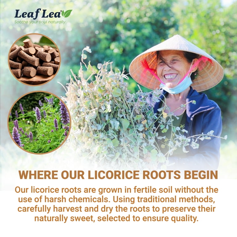 Liquorice Root Loose Herbal Tea | Jenier World Of Teas Liquorice Root Loose Herbal Tea | Jenier World Of Teas
