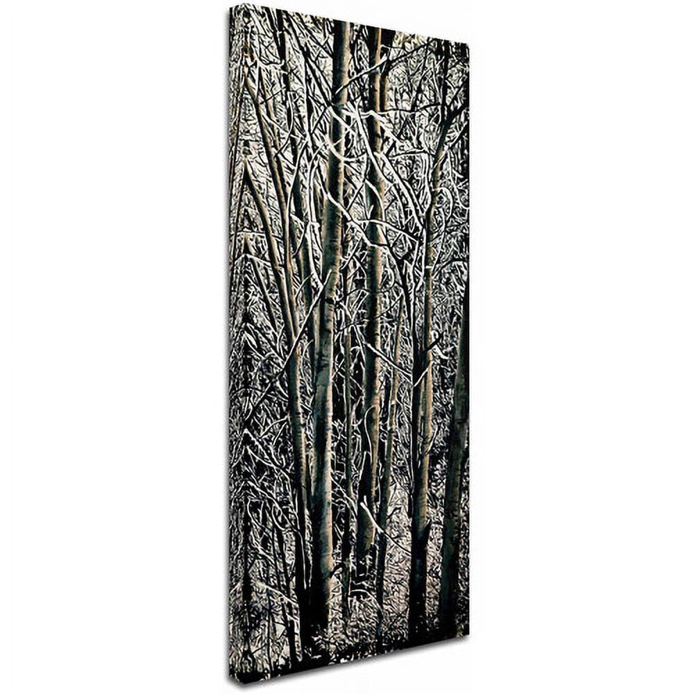 Trademark Fine Art "Aspen Winter Panel 03" Canvas Art by Roderick Stevens