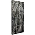 thumbnail image 2 of Trademark Fine Art "Aspen Winter Panel 03" Canvas Art by Roderick Stevens, 2 of 3