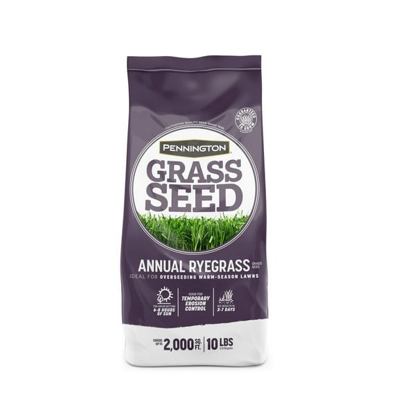 Pennington Annual Ryegrass Grass Seed 10 MVR1 lb