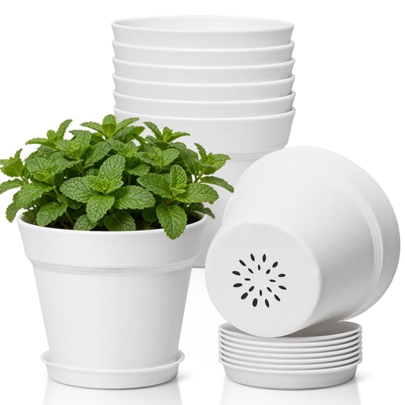 T4U 5 Inch Plant Pots 8 Pack, Plastic Planters with Drainage and Saucers, DIY Beginner Plant Kit for Indoor Gardening, Flower Pots for Repotting Pothos, Herbs and Spider Plants(White)