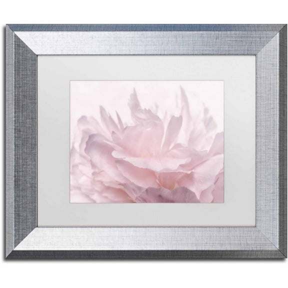 Trademark Fine Art 'Pink Peony Petals III' Canvas Art by Cora Niele, White Matte, Silver Frame