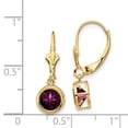 thumbnail image 4 of Primal Gold 14 Karat Yellow Gold 6mm Rhodolite Garnet Leverback Earrings, 4 of 4
