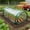 Clear, variant on Darzheoy Mini Garden Portable Greenhouse, Outdoor Transparent PVC Warm House Cover, Mini Greenhouse for Raised Garden Bed with PE Cover and Roll Up Zipper
