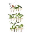 thumbnail image 2 of Jarrones de tubo de ensayo Propagador de plantas hidropónicas Terrario Simple Elegante Estación de propagación de plantas de 3 niveles para habitación Oficina Balcón Beige Inevent HA011384-02B, 2 of 2
