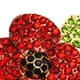 thumbnail image 3 of Broche Broche Diamantes Imitación Con Gota Aceite Rojo La Princesa Kate (A), 3 of 9