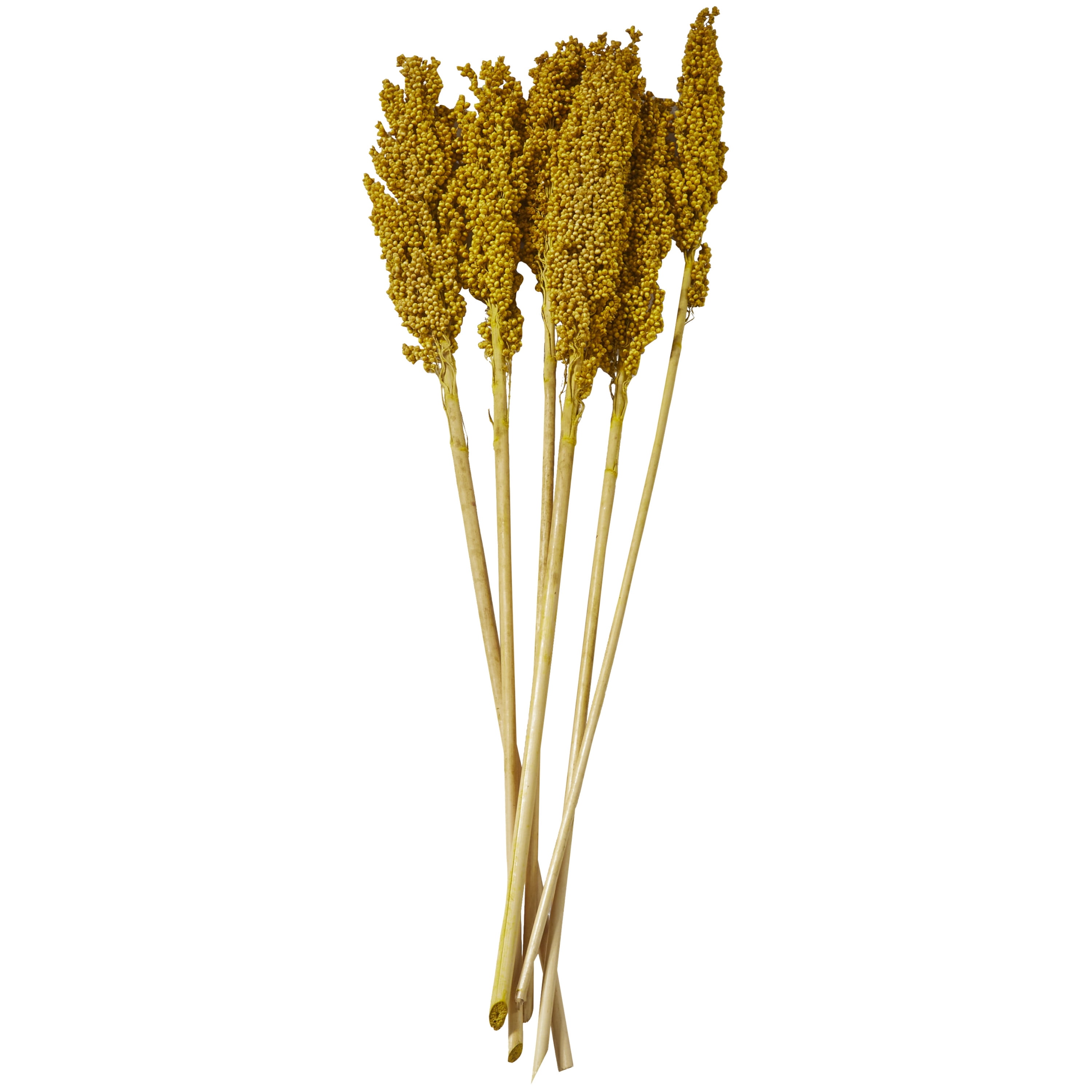 30" Dried Plant Natural Foliage Corn Maze Bouquet with Long Stems, by DecMode